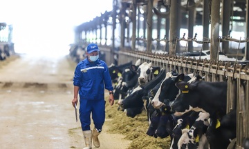 Tập đoàn TH: Tiên phong sản xuất nông nghiệp hữu cơ tại Việt Nam