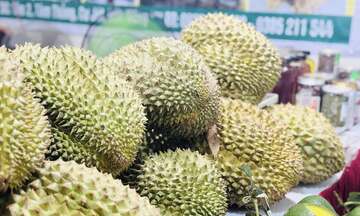 Chuyên gia: Sự năng động của Chính phủ giúp ngành rau quả bứt tốc