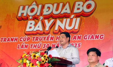 Bình Điền: Tự hào đồng hành cùng di sản văn hóa đua bò Bảy Núi
