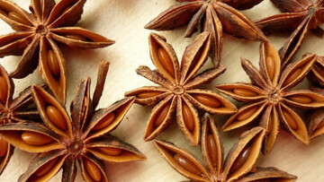 Cây hồi - “cây xóa nghèo” của người dân Đường Hồng