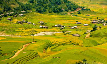 Mù Cang Chải – 'dải gấm vàng' vắt ngang trời Tây Bắc