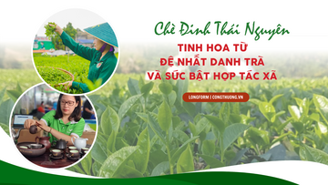 Longform | Chè Đinh Thái Nguyên: Tinh hoa từ đệ nhất danh trà