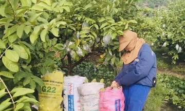 Công nghệ cao mở đường làm giàu cho nông dân Bắc Ninh