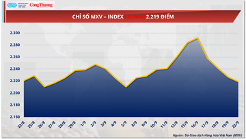 Áp lực dư cung là yếu tố chủ đạo chi phối giá ngô
