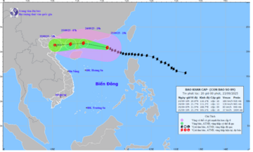 Thời tiết biển hôm nay 24/9/2025: Bão số 9, cách Móng Cái 350km