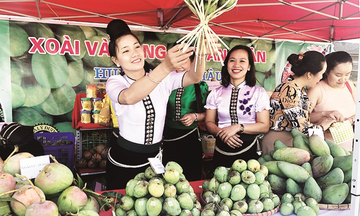 Nông sản Yên Châu vươn mình ra thế giới
