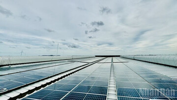 Tin Công Thương 24/9: Việt Nam có bước tiến ấn tượng trong lĩnh vực năng lượng tái tạo