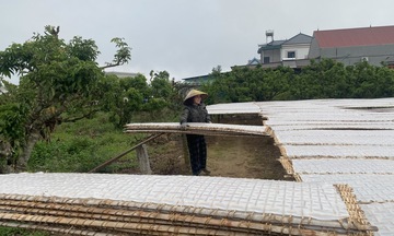 Hợp tác xã Nam Thể: Liên kết để khẳng định thương hiệu mỳ Chũ