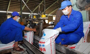Xuất khẩu phân bón 2025 tăng trưởng, lợi nhuận khởi sắc