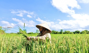 Nông dân Tây Nguyên áp dụng chuyển đổi số để thoát nghèo