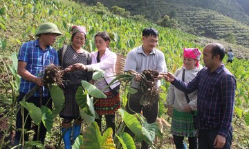 Xã Hạnh Phúc đẩy mạnh phong trào 'xung phong thoát nghèo'