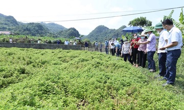 Lạng Sơn: Diện mạo mới khi tư duy kinh tế nông nghiệp bắt đầu 'bén rễ'