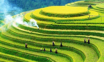 Mù Cang Chải: Du lịch khởi sắc, thêm nguồn sinh kế mới bền vững