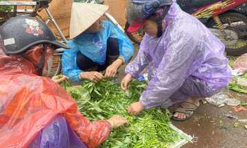 Hà Nội: Thị trường rau củ hút khách trước ngày mưa bão