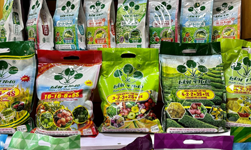 Phân bón Nông nghiệp đô thị Supe Lâm Thao chính thức lên sàn Vinachemart