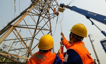 Chính phủ xây dựng cơ chế đặc thù cho các doanh nghiệp đầu tàu kinh tế