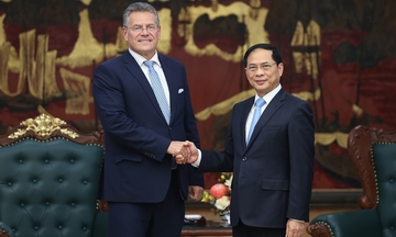 Việt Nam - EU mở rộng hợp tác năng lượng tái tạo, công nghiệp bán dẫn