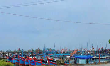 Quảng Ngãi: Cấm các loại tàu thuyền ra biển từ 17 giờ ngày 27/9