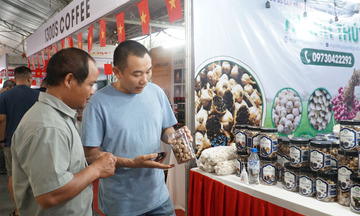 Quảng Ngãi: Nỗ lực đưa đặc sản OCOP vươn ra thị trường quốc tế