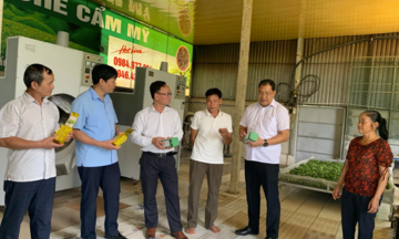 Giải bài toán đầu ra cho sản phẩm công nghiệp nông thôn