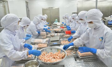 5 khuyến nghị từ cơ quan thương vụ để nông sản Việt 'chắc chân' tại Hoa Kỳ