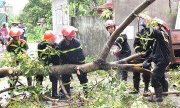 Ninh Bình: Bão số 10 càn quét, bốn người trong một gia đình tử vong 