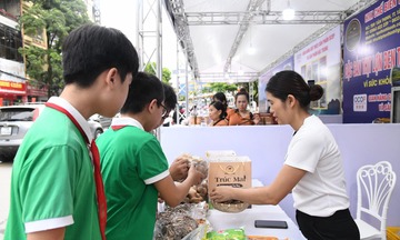 Tìm đầu ra cho sản phẩm nấm hương trái vụ ở Cao Bằng