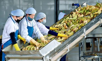 Xây thương hiệu sản phẩm thực phẩm Việt Nam: Nền móng từ chất lượng