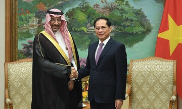 Phó Thủ tướng đề nghị Quỹ đầu tư Saudi Arabia hợp tác vào hạ tầng và năng lượng