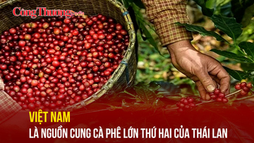 Việt Nam là nguồn cung cà phê lớn thứ hai của Thái Lan