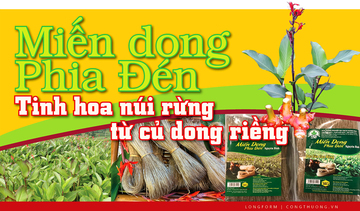 Longform | Miến dong Phia Đén: Tinh hoa núi rừng từ củ dong riềng