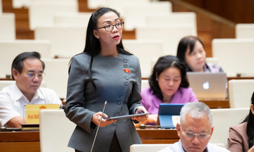 Đại biểu Quốc hội: Sàn thương mại điện tử phải bồi thường nếu bán hàng giả