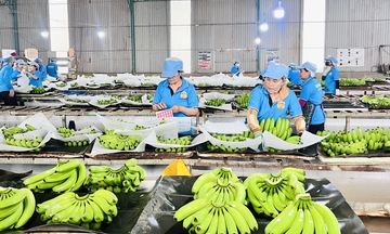 Gia Lai: Công nghiệp, thương mại tăng trưởng ấn tượng trong 9 tháng