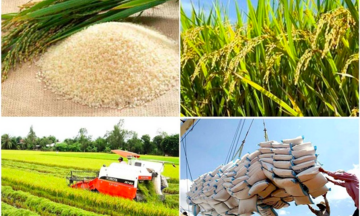 Tập đoàn Toàn Cầu: Kiến tạo nền nông nghiệp minh bạch và thịnh vượng