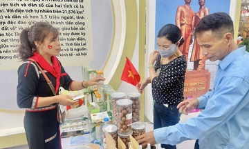 Gia Lai: Tăng giá trị cây chuối mốc của người Jrai