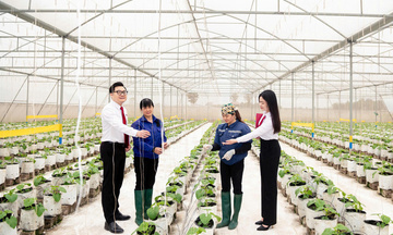 Agribank sắp xếp mạng lưới, tăng cường dư địa cho phát triển tam nông