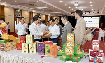 Cần Thơ – Bắc Ninh tăng cường hợp tác, mở rộng cơ hội kết nối doanh nghiệp