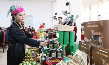 Liên kết tiêu thụ sản phẩm, nâng sinh kế cho đồng bào Lai Châu