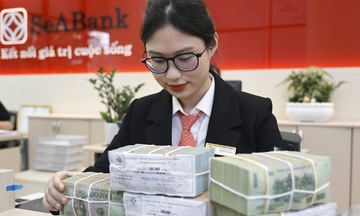 SeABank nhận giải ngân toàn bộ 80 triệu USD từ FMO và Proparco