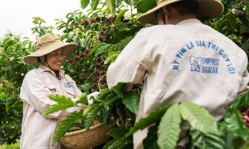 Đắk Lắk: Bứt phá sản xuất công nghiệp trong 9 tháng 