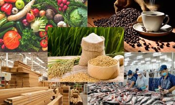 Infographic |Kim ngạch nông, lâm, thuỷ sản 9 tháng đạt hơn 52 tỷ USD
