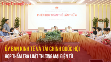 Ủy ban Kinh tế - Tài chính Quốc hội thẩm tra Luật Thương mại điện tử