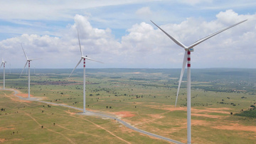 Lâm Đồng: Kim ngạch xuất khẩu 9 tháng tăng trưởng ấn tượng 