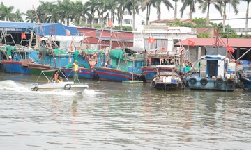 Hải Phòng chủ động triển khai công tác phòng, chống bão số 11