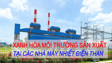 Xanh hóa môi trường sản xuất tại các nhà máy nhiệt điện than