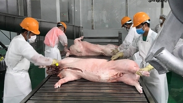 Việt Nam xuất khẩu thịt và các sản phẩm từ thịt đến 29 thị trường