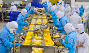 FTA Index 'hé lộ' điểm nghẽn trong thực thi FTA của các tỉnh, thành