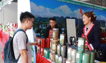 Khẳng định vị thế Việt từ sản phẩm công nghiệp nông thôn tiêu biểu