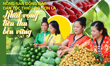 Nông sản đồng bào dân tộc thiểu số Sơn La: Khát vọng tiêu thụ bền vững