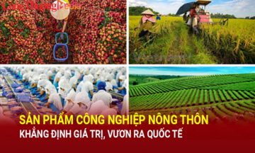 Sản phẩm công nghiệp nông thôn khẳng định giá trị, vươn ra quốc tế